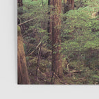 Outdoor Adventure Poster Gallery Image 3