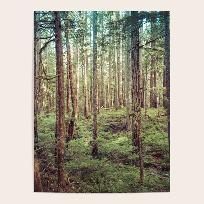 Outdoor Adventure Poster Gallery Image 4