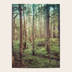 Outdoor Adventure Poster Gallery Image 4