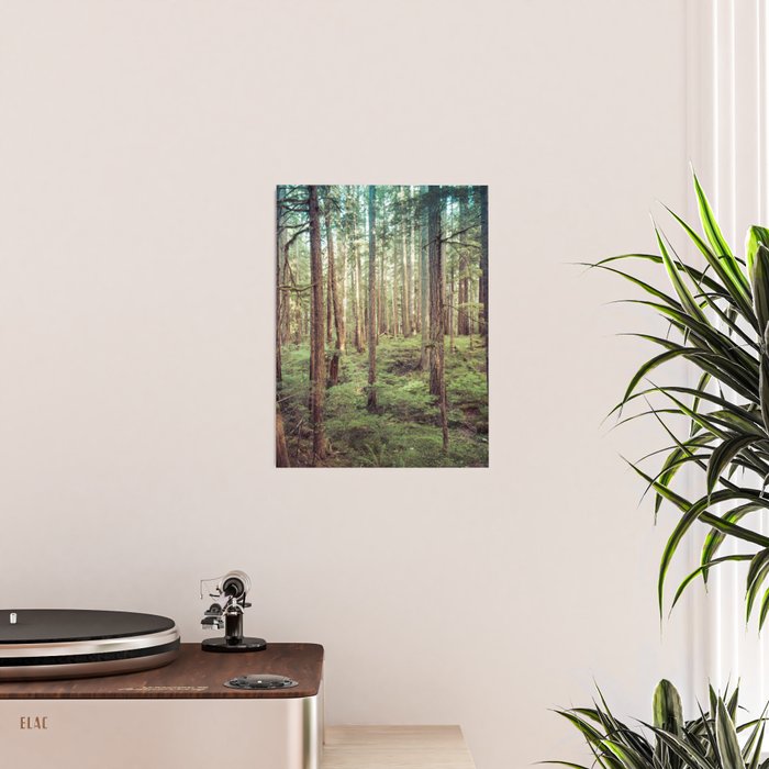Outdoor Adventure Poster Gallery Image 2