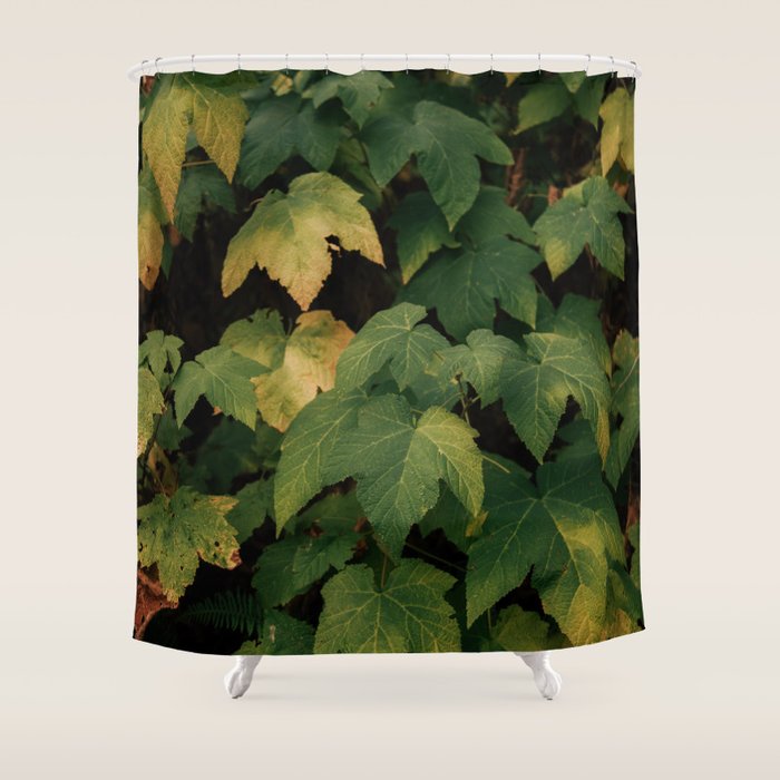 Early Foliage Shower Curtain Gallery Image 1