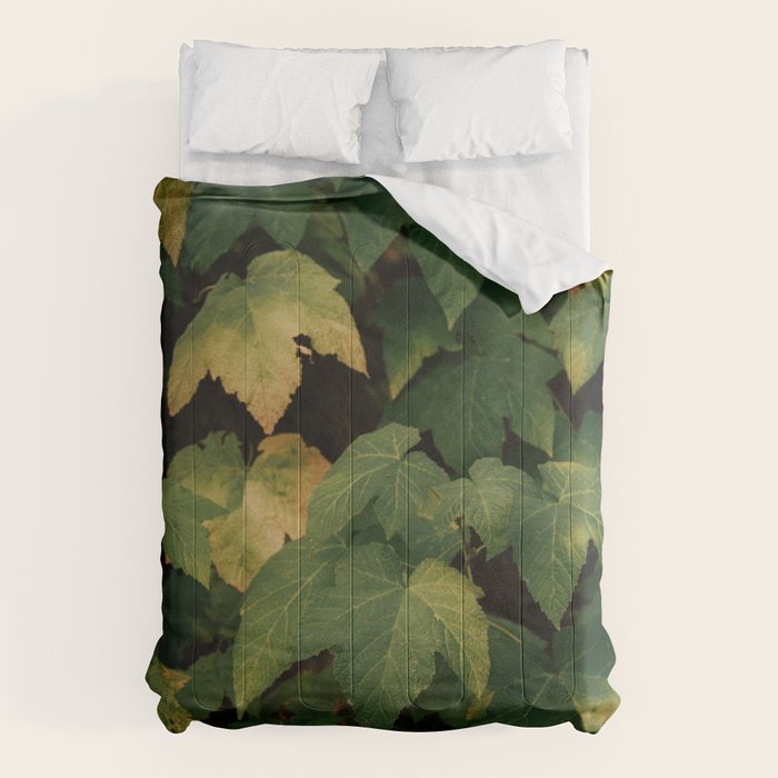 Early Foliage Comforter Gallery Image 6