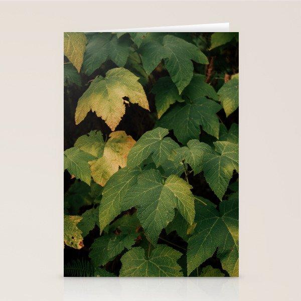 Early Foliage Stationery Card Gallery Image 2
