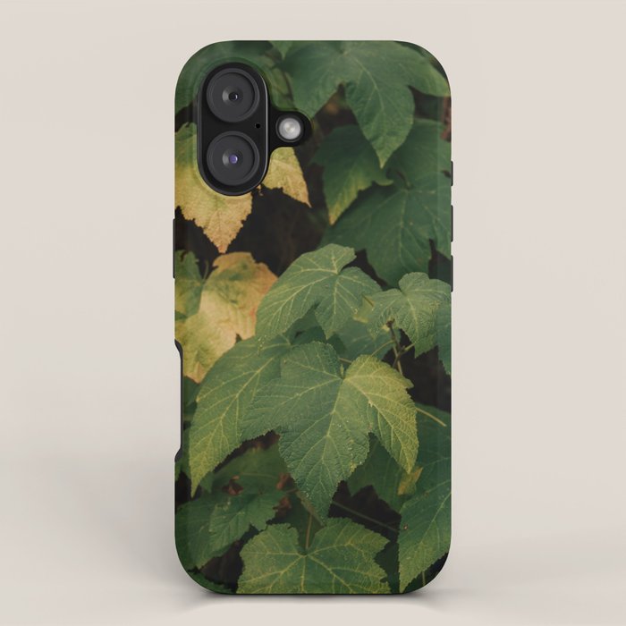 Early Foliage iPhone Case Gallery Image 1