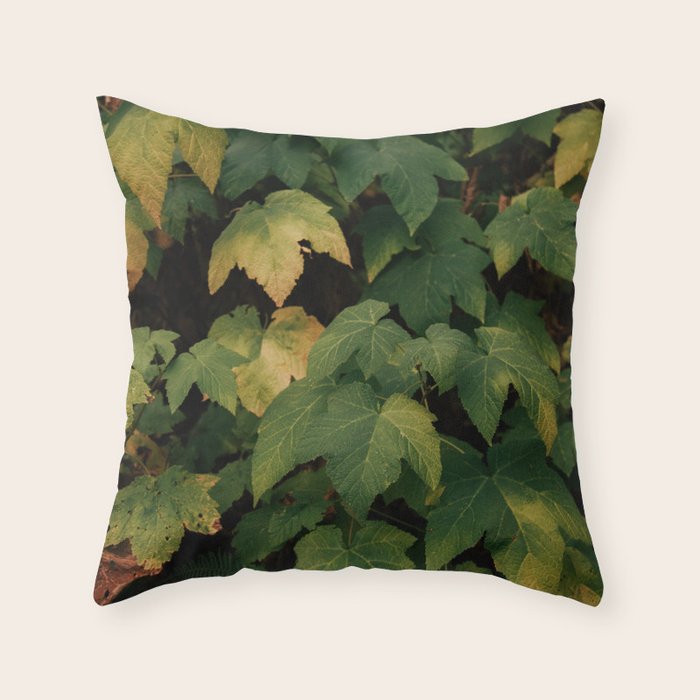 Early Foliage Throw Pillow Gallery Image 6