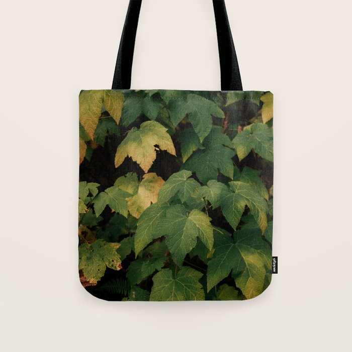 Early Foliage Tote Bag Gallery Image 1