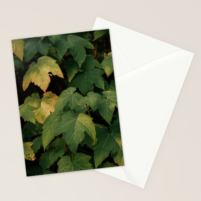Early Foliage Stationery Card Gallery Image 2