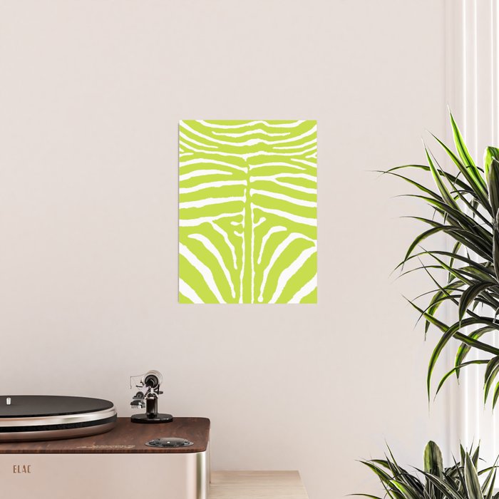 Zebra Wild Animal Print 223 Poster Gallery Image 2