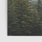 PNW Forest Adventure - Nature Photography Poster Gallery Image 3