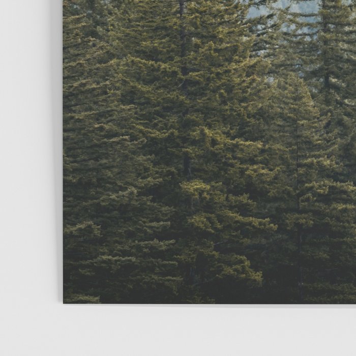 PNW Forest Adventure - Nature Photography Poster Gallery Image 3