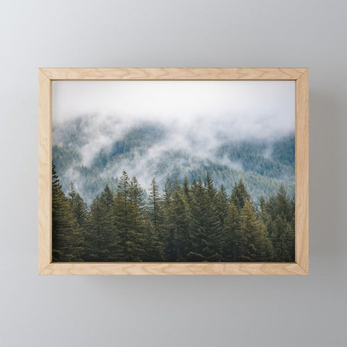 Pnw Forest Adventure - Nature Photography Mini Art Print