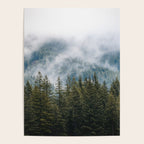 PNW Forest Adventure - Nature Photography Poster Gallery Image 4