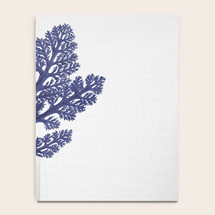 Seaweed 2 Notebook Gallery Image 4