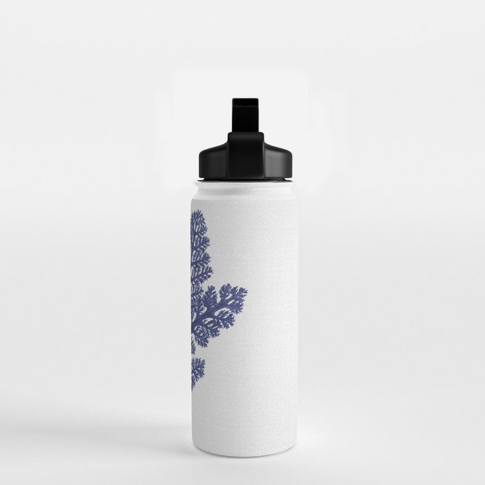 Seaweed 2 Water Bottle Gallery Image 2