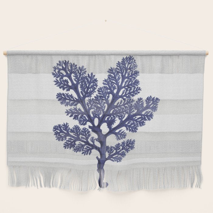 Seaweed 2 Wall Hanging Gallery Image 1