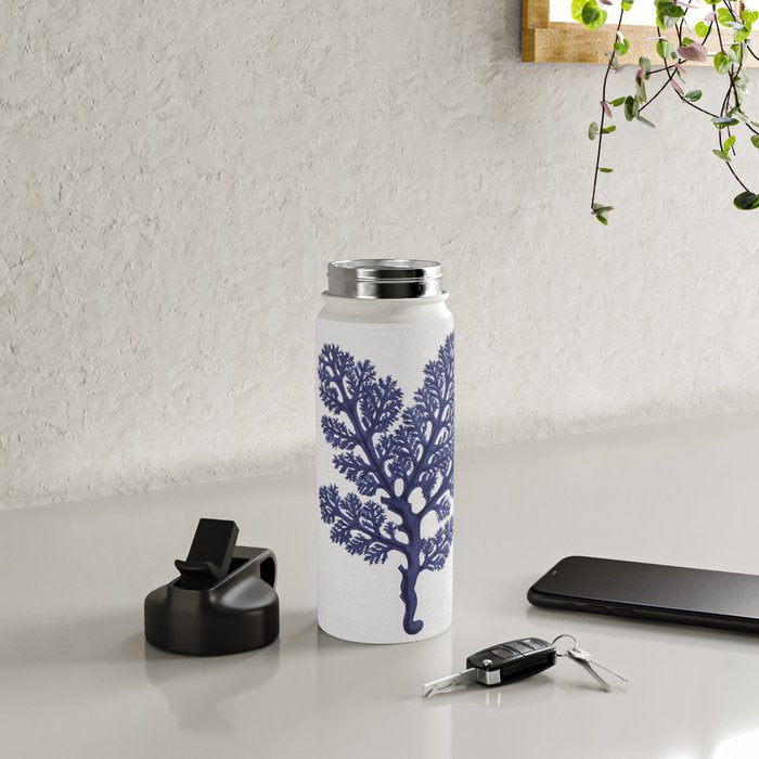 Seaweed 2 Water Bottle Gallery Image 4