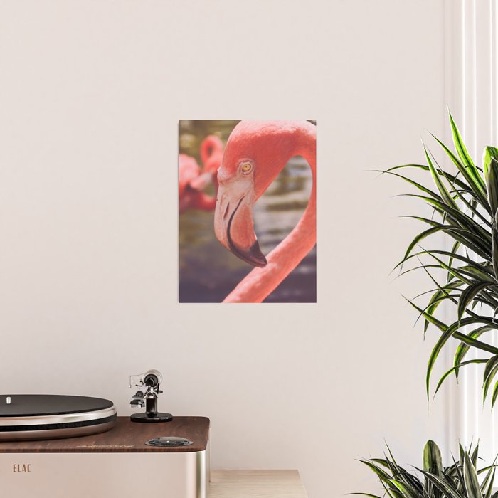Pink Flamingo II Poster Gallery Image 2