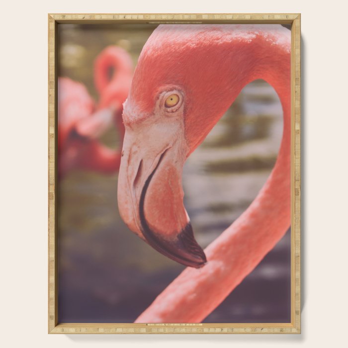 Pink Flamingo II Serving Tray Gallery Image 1