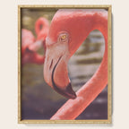 Pink Flamingo II Serving Tray Gallery Image 1
