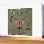 Night butterflies Wall Mural Gallery Image 2