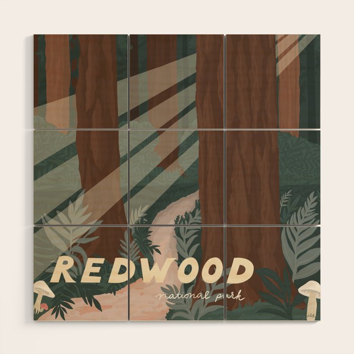 Redwood National Park Wood Wall Art Gallery Image 1
