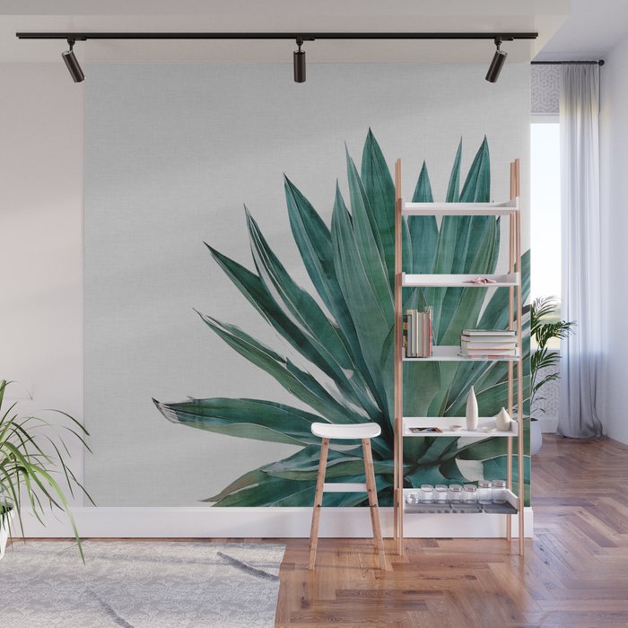 Agave Cactus Wall Mural Gallery Image 1