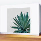 Agave Cactus Wall Mural Gallery Image 2
