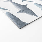 Sharks Welcome Mat Gallery Image 2
