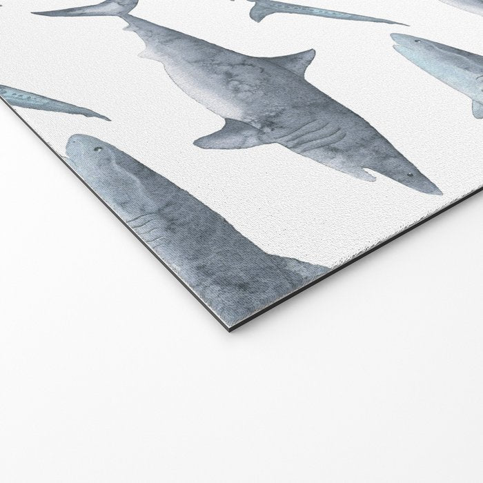 Sharks Welcome Mat Gallery Image 2