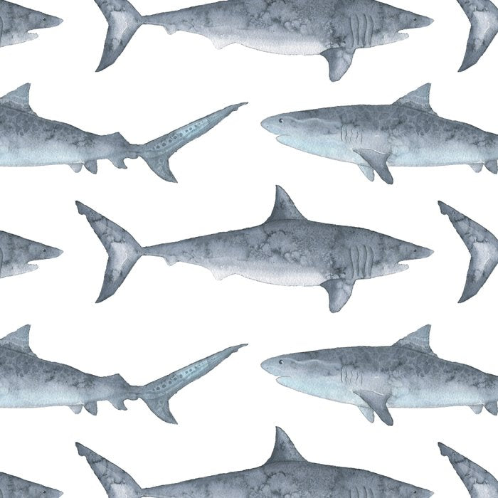 Sharks Coffee Mug Gallery Image 2