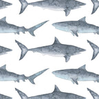 Sharks Coffee Mug Gallery Image 2