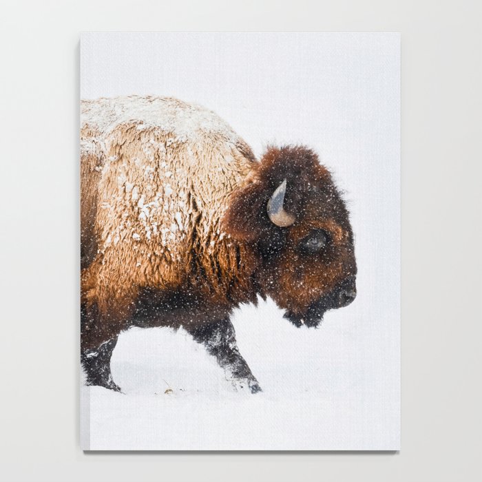 Buffalo In The Snow Notebook Gallery Image 4