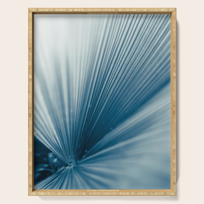 Far Reaching Serving Tray Gallery Image 1