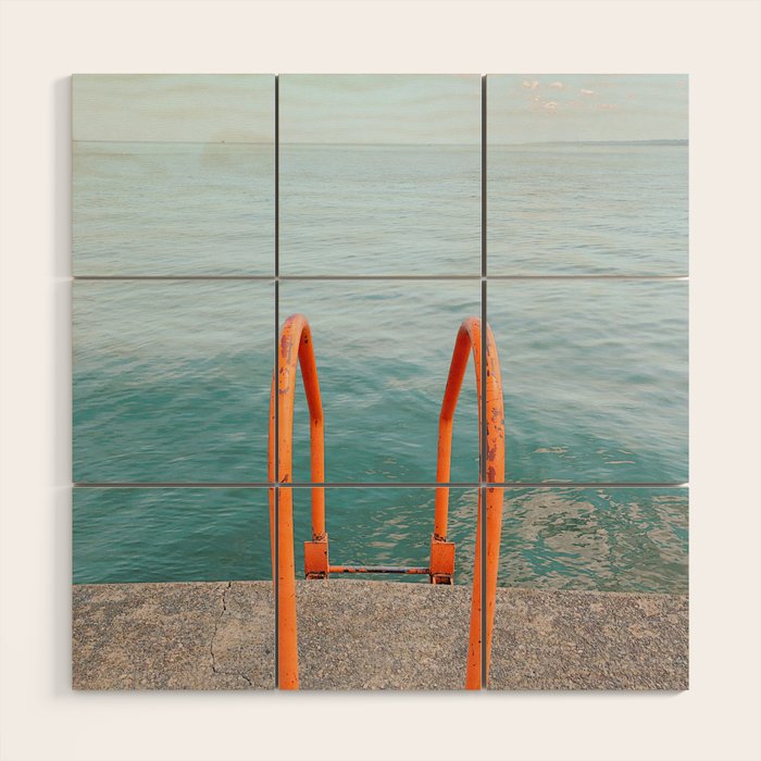 Morning Swim Wood Wall Art Gallery Image 1