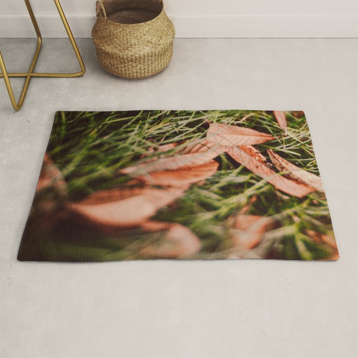 Single File Rug Gallery Image 1
