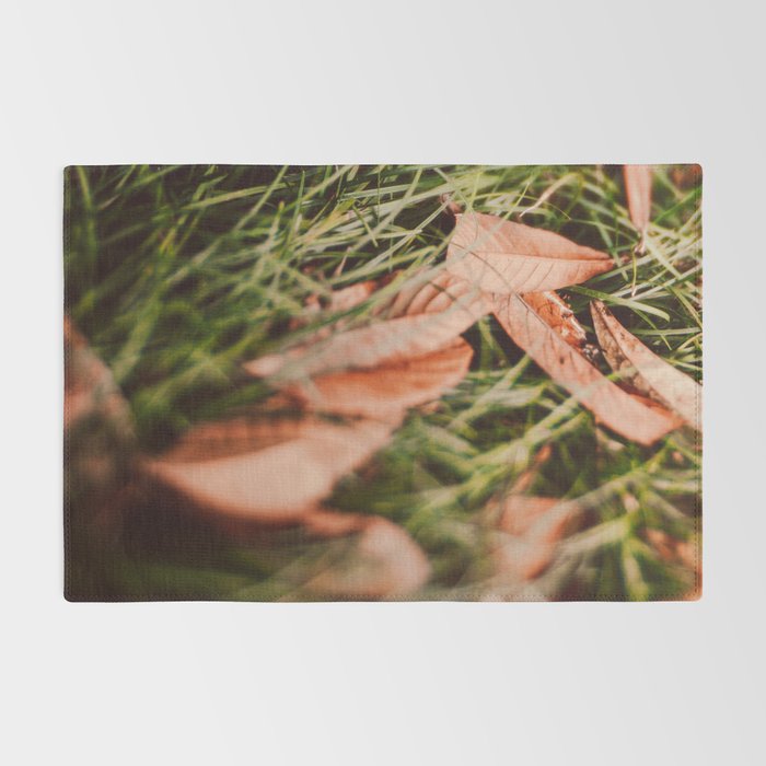 Single File Rug Gallery Image 2