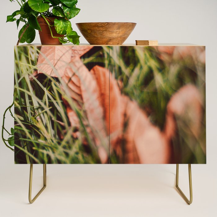Single File Credenza Gallery Image 1