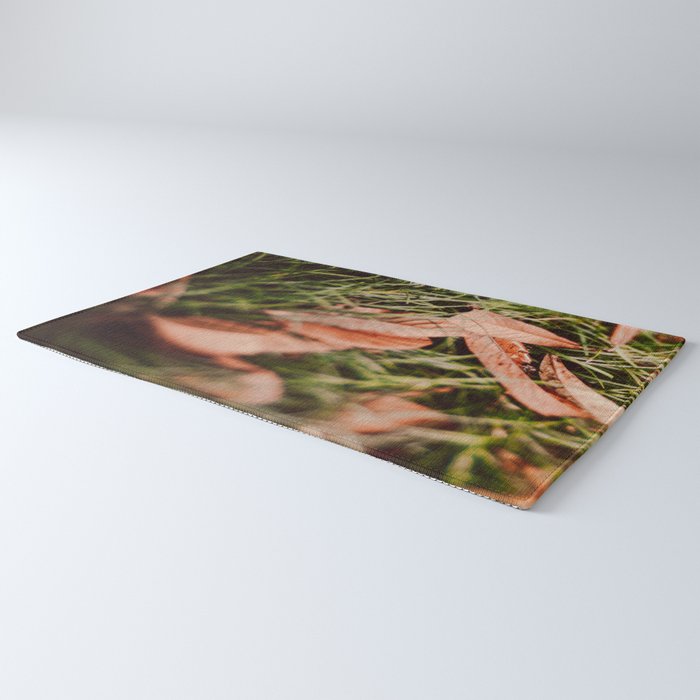 Single File Rug Gallery Image 3