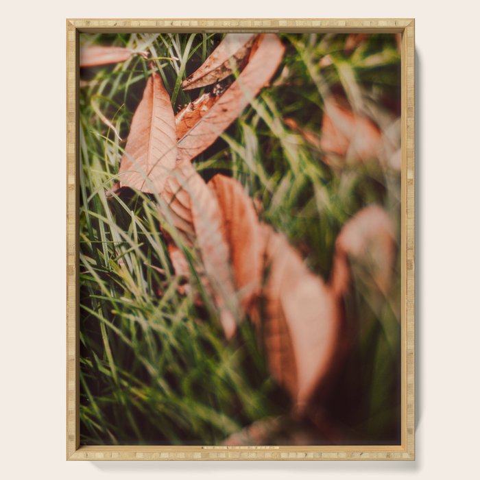 Single File Serving Tray Gallery Image 1