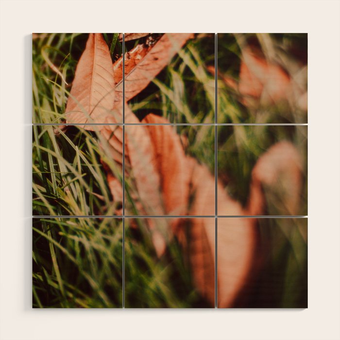 Single File Wood Wall Art Gallery Image 1