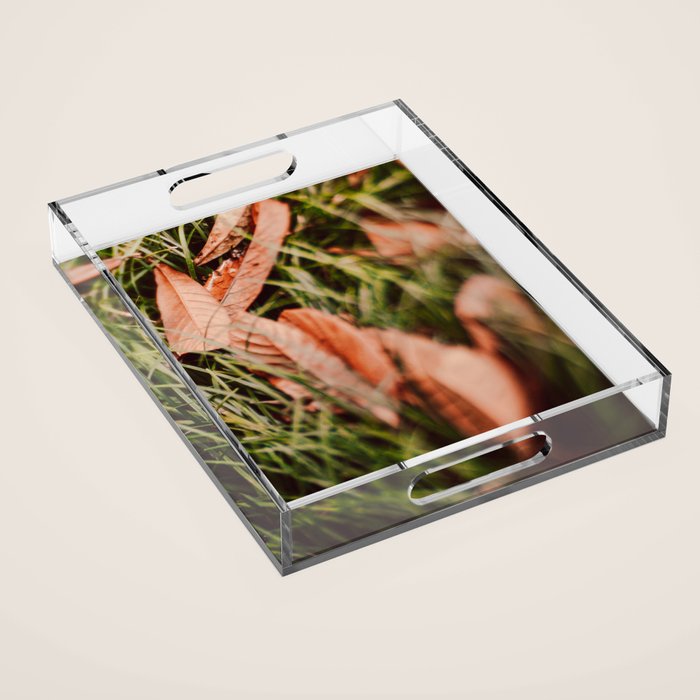 Single File Acrylic Tray Gallery Image 1