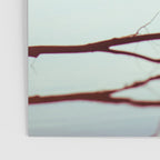 Evening at the Lake x Moody Lake Landscape Photography Poster Gallery Image 3