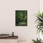 Forest Drive V Poster Gallery Image 2
