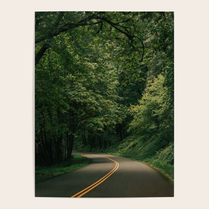 Forest Drive V Poster Gallery Image 4