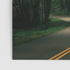 Forest Drive V Poster Gallery Image 3