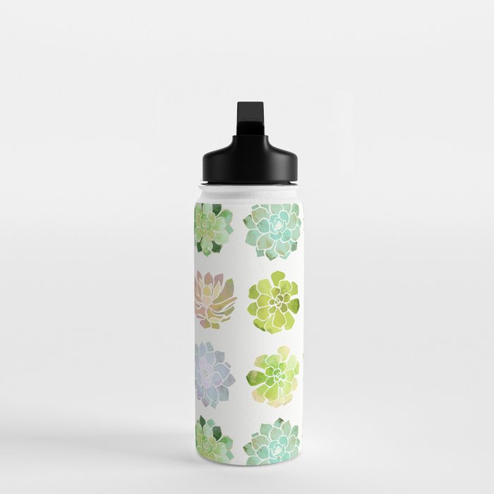 Spring Succulents Water Bottle Gallery Image 3