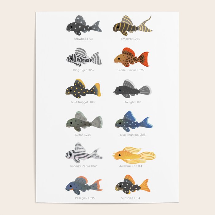 Pleco! - white Poster Gallery Image 1