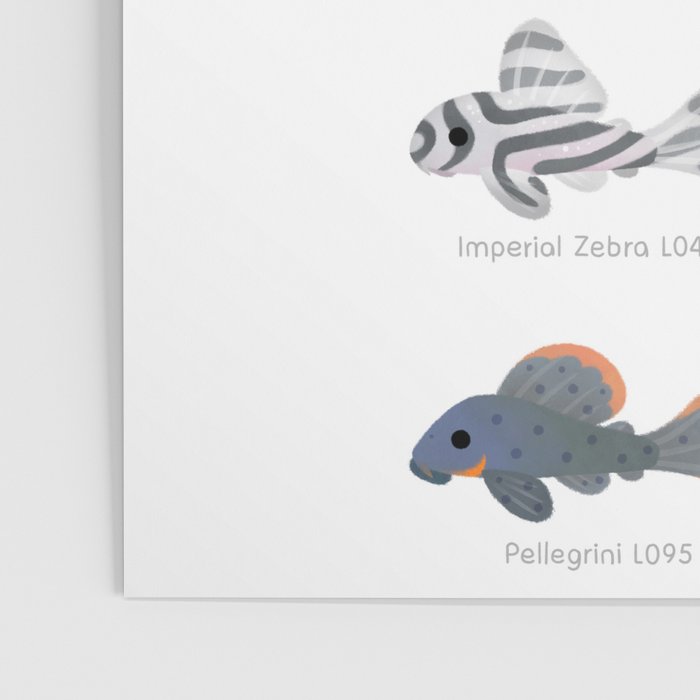 Pleco! - white Poster Gallery Image 3