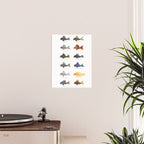 Pleco! - white Poster Gallery Image 2