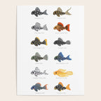 Pleco! - white Poster Gallery Image 4